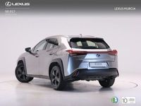 usado Lexus UX 300e Business