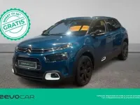 Usado Citroën C4 Cactus Shine 99 CV (72 kW) 2019 Azul Utilitario