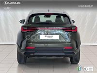 Usado Lexus NX350h 243 CV (178 kW) 2025 Verde SUV