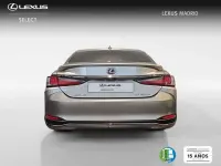 Usado Lexus ES300 Sport Line 218 CV (160 kW) 2020 Plateado Berlina