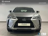 Usado Lexus UX 300e Business Edition 150 kW (204 CV) 2021 Gris SUV
