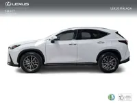 Nuevo Lexus NX450h+ 292 CV (214 kW) 2026 Blanco SUV