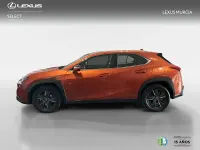 Usado Lexus UX 250h 184 CV (135 kW) 2021 Naranja SUV
