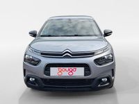 Usado Citroën C4 Cactus Shine 99 CV (72 kW) 2019 Utilitario