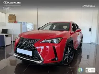 Usado Lexus UX 300h 199 CV (146 kW) 2025 Rojo SUV