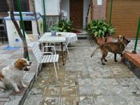 Usado Alfa Romeo GTV 131 CV (96 kW) 1982 Negro Coupe