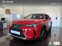 Usado Lexus UX 199 CV (146 kW) 2025 Rojo SUV