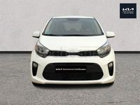 Usado Kia Picanto 63 CV (46 kW) 2024 Blanco Utilitario