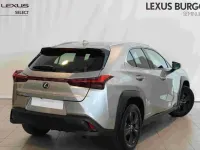 Usado Lexus UX Business Edition 184 CV (135 kW) 2021 Gris / plata SUV