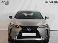 Usado Lexus UX Business Edition 184 CV (135 kW) 2022 Gris / plata SUV
