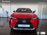 Usado Lexus UX 250h Business Edition 2022 Rojo SUV