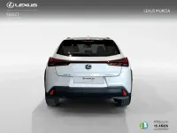 Usado Lexus UX Business Edition 184 CV (135 kW) 2023 Blanco SUV