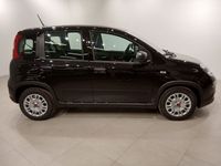 Usado Fiat Panda 70 CV (51 kW) 2024 Negro Utilitario