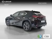 Usado Lexus UX 300h 199 CV (146 kW) 2025 Negro SUV