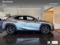Usado Lexus UX Business Edition 184 CV (135 kW) 2022 Gris / plata SUV