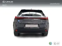 Usado Lexus UX 250h 184 CV (135 kW) 2022 Gris SUV