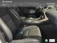 Usado Lexus NX300h Business Edition 197 CV (144 kW) 2018 Blanco SUV