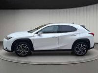 Usado Lexus UX 250h Business Edition 184 CV (135 kW) 2021 Blanco SUV