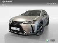Brugt Lexus UX 250h Business Edition 184 HK (135 kW) 2022 Otro SUV