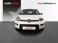 Usado Fiat Panda 70 CV (51 kW) 2023 Blanco Berlina
