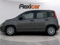 Usado Fiat Panda Sport 71 CV (52 kW) 2022 Gris Utilitario