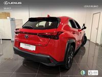 Usado Lexus UX 250h Business Edition 184 CV (135 kW) 2022 Rojo SUV