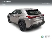 Usado Lexus UX 250h 184 CV (135 kW) 2022 Gris SUV