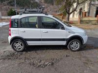 Usado Fiat Panda Cross 69 CV (50 kW) 2007 Blanco Utilitario