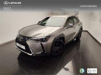 Usado Lexus UX 199 CV (146 kW) 2024 Gris / plata SUV