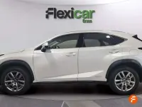 Usado Lexus NX300h Executive Line 197 CV (144 kW) 2019 Blanco SUV