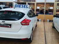 Usado Ford Focus Trend 95 CV (69 kW) 2015 Blanco Berlina
