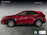 usado Lexus NX300 300h Business 2WD