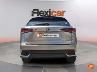 Usado Lexus NX300h Business Edition 197 CV (144 kW) 2020 Gris SUV
