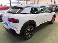 Usado Citroën C4 Cactus Feel 99 CV (72 kW) 2019 Blanco Utilitario