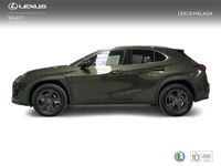 usado Lexus UX 2.0 250h Business