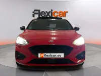 Usado Ford Focus Active 155 CV (114 kW) 2020 Rojo Berlina