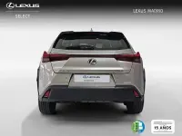 Usado Lexus UX Business Edition 183 CV (134 kW) 2022 Gris SUV