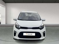 Usado Kia Picanto 67 CV (49 kW) 2024 Blanco Utilitario