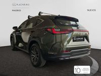 Nuevo Lexus NX450h+ 306 CV (225 kW) 2025 Verde SUV