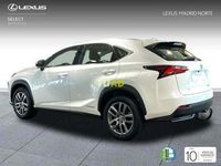 usado Lexus NX300h executive tecno 4wd 145 kw (197 cv)