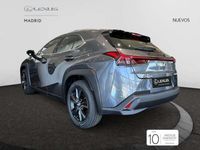 Nuevo Lexus UX 300h 199 CV (146 kW) 2025 Gris SUV