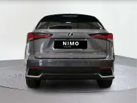 Usado Lexus NX300h Business Edition 197 CV (144 kW) 2020 SUV