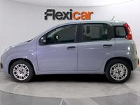 Usado Fiat Panda 71 CV (52 kW) 2022 Gris Berlina