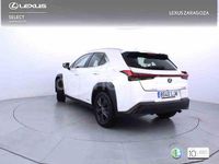 Usado Lexus UX Business Edition 184 CV (135 kW) 2020 Blanco SUV