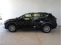 Usado Lexus NX300h Business Edition 197 CV (144 kW) 2020 Negro SUV