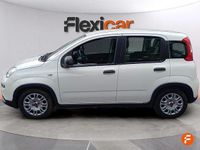 Usado Fiat Panda 71 HP (52 kW) 2023 Branco Citadino