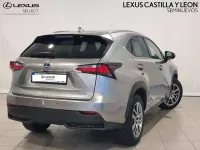 Usado Lexus NX300h Executive Line 197 CV (144 kW) 2016 Gris SUV