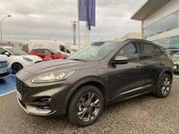 Usado Ford Kuga ST-Line 225 CV (165 kW) 2023 Blanco SUV