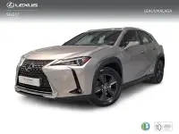 Usado Lexus UX Business Edition 184 CV (135 kW) 2022 Gris SUV