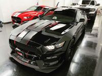 usado Ford Mustang Shelby GT350 R VENDIDO!!